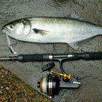 Minnow Wobbler Lure