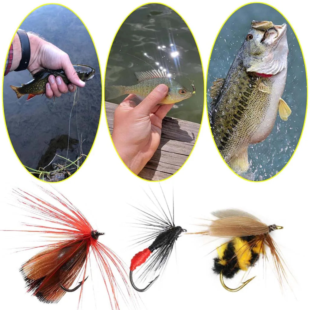 Fly Fishing Lure Kit