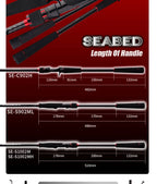 Seabass Spinning Rod