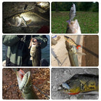 Multi Joint Lure Set