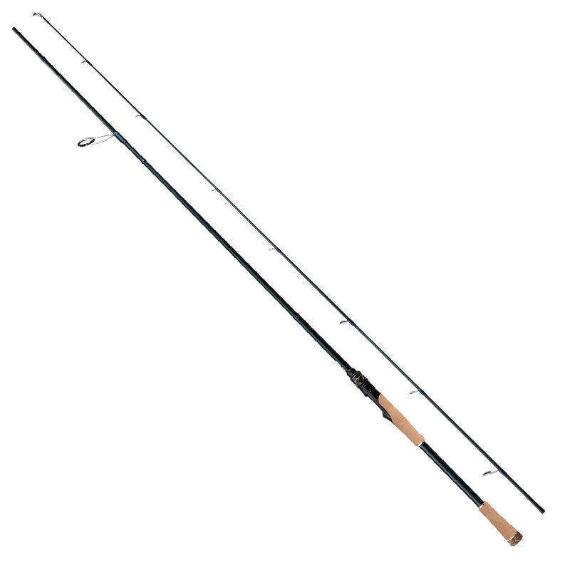 Bass Spinning Rod