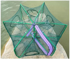 Folding Fish Trap