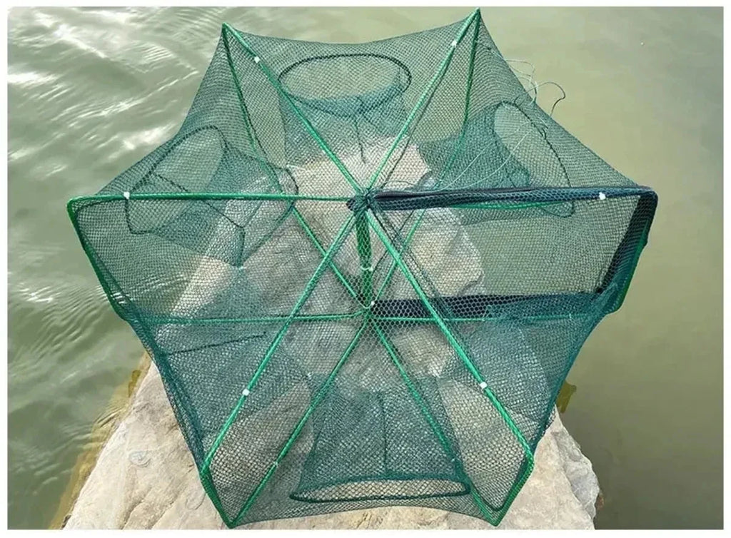 Folding Fish Trap