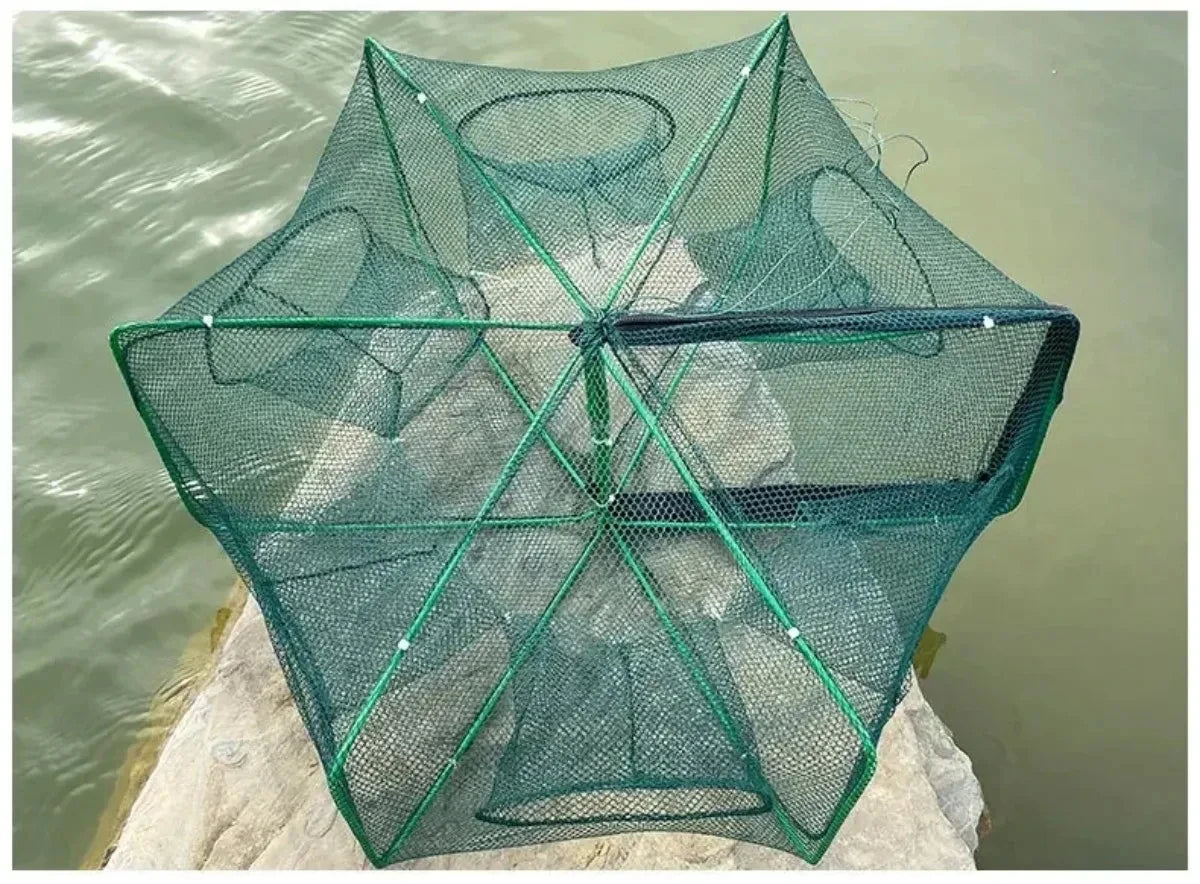 Folding Fish Trap