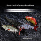 Robotic Swimming Lure