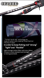 Seabass Spinning Rod
