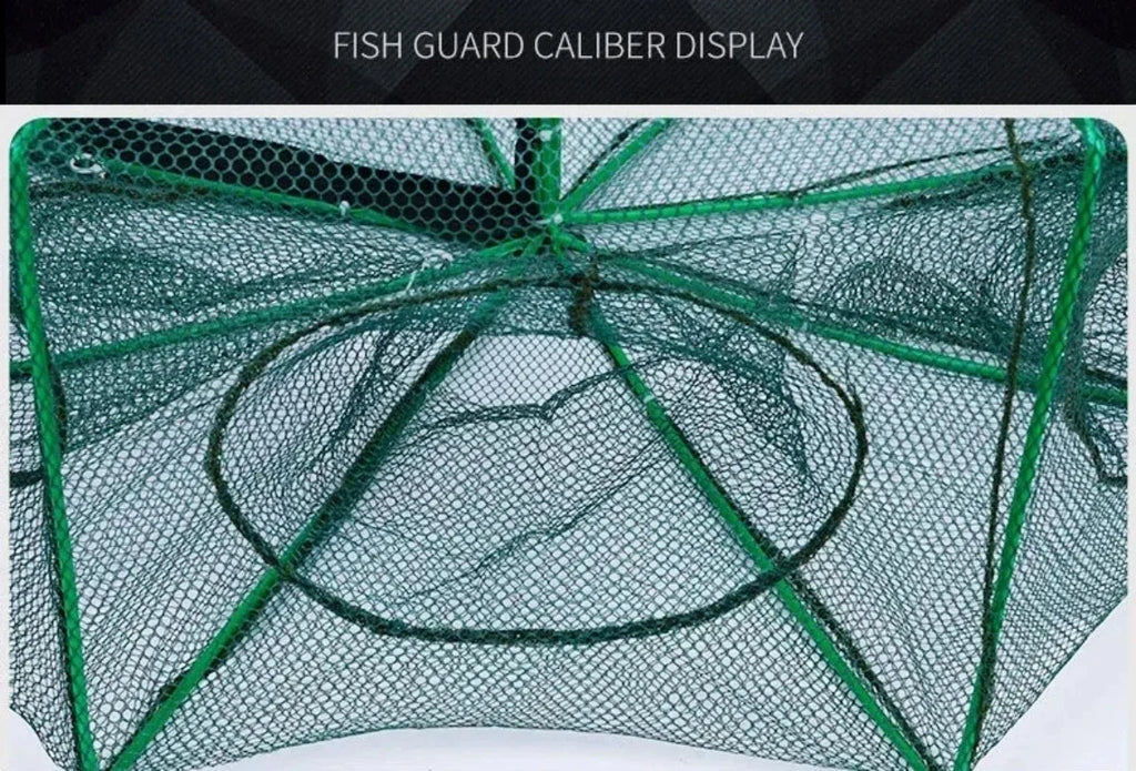 Folding Fish Trap