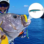 Minnow Wobbler Lure