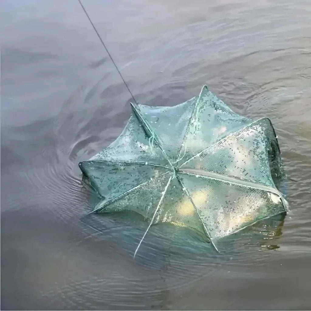 Folding Fish Trap