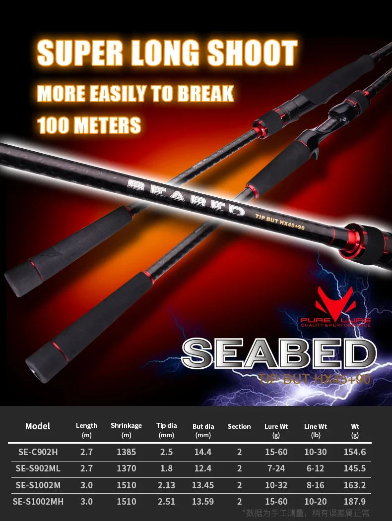 Seabass Spinning Rod