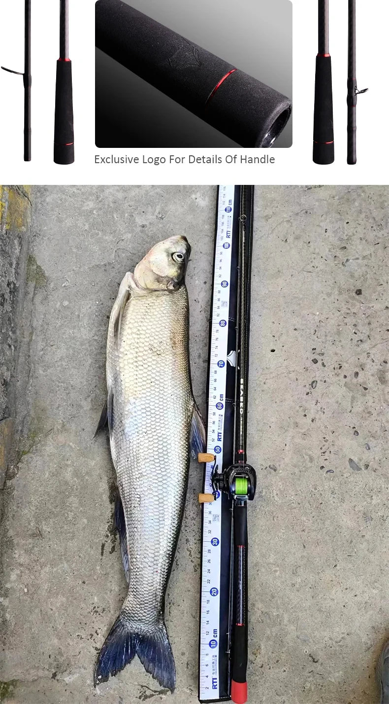 Seabass Spinning Rod
